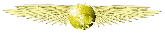 Sovereign
          Soldiers logo
